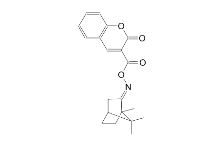 3-[({[(2E)-1,7,7-trimethylbicyclo[2.2.1]hept-2-ylidene]amino}oxy)carbonyl]-2H-chromen-2-one