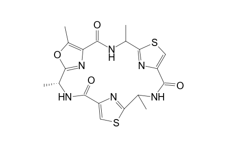 Tenuecyclamide A