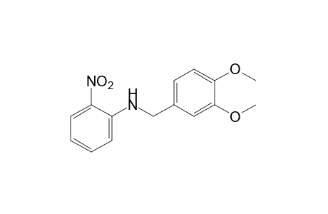 N-(o-nitrophenyl)veratrylamine