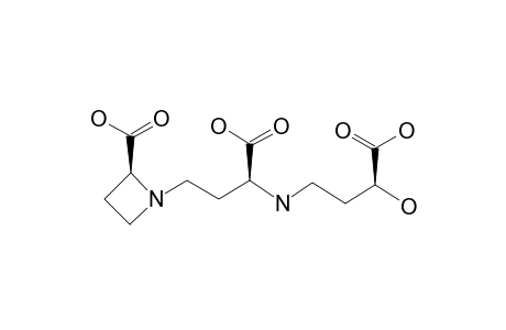 DMA;L-[1-13C]-MET;2'-DEOXYMUGINEIC-ACID