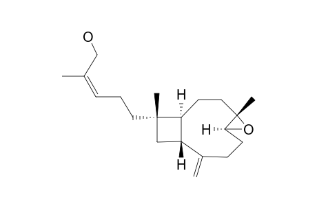 NANOLOBATIN_A;(1S,4S,5S,9R,11S,14Z)-4,5-EPOXYXENIAPHYLLA-8(19),14-DIEN-16-OL
