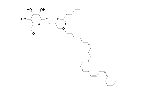 MGDG O-24:6_5:0