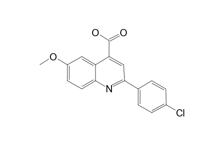 2-[p-Chlorophenyl]-6-methoxycinchoninic acid