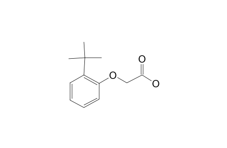 (2-Tert-butylphenoxy)acetic acid