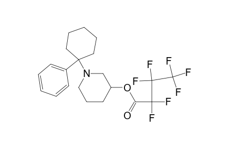1-(1-phenylcyclohexyl)-3-(heptafluoropropylcarbonyloxy)piperidine