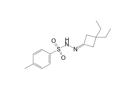 N'-(3,3-diethylcyclobutylidene)-4-methylbenzenesulfonohydrazide