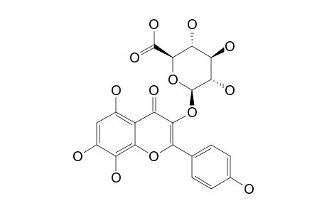 HERBACETIN-3-O-GLUCURONIDE