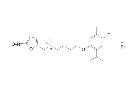 {4-[(6-chlorothymyl)oxy]butyl}dimethyl(5-nitrofurfuryl)ammonium bromide