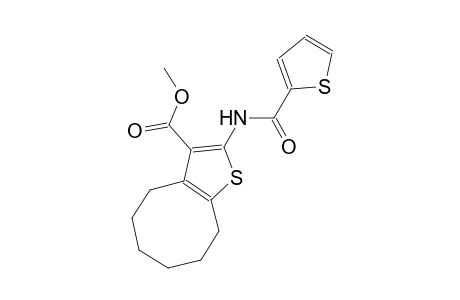 methyl 2-[(2-thienylcarbonyl)amino]-4,5,6,7,8,9-hexahydrocycloocta[b]thiophene-3-carboxylate