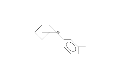 2-M-Tolyl-2-norbornyl cation
