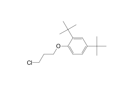 2,4-Ditert-butyl-1-(3-chloranylpropoxy)benzene