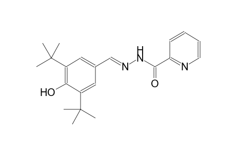 2-pyridinecarboxylic acid, 2-[(E)-[3,5-bis(1,1-dimethylethyl)-4-hydroxyphenyl]methylidene]hydrazide