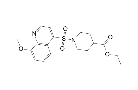 1-(8-Methoxy-quinoline-4-sulfonyl)-piperidine-4-carboxylic acid ethyl ester