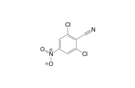 2,6-Dichloro-4-nitrobenzonitrile