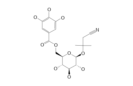 SUPINANITRILOSIDE-E;3-HYDROXY-3-METHYL-BUTANENITRILE-BETA-D-GLUCOPYRANOSIDE-6'-O-GALLATE
