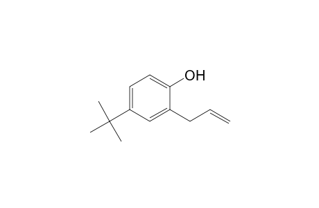 2-Allyl-4-tert-butyl-phenol