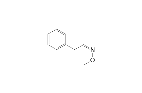 phenylacetaldehyde, 1MEOX