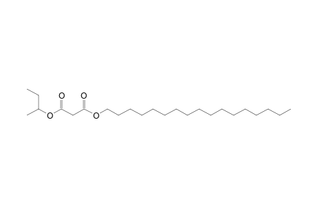 Malonic acid, 2-butyl heptadecyl ester