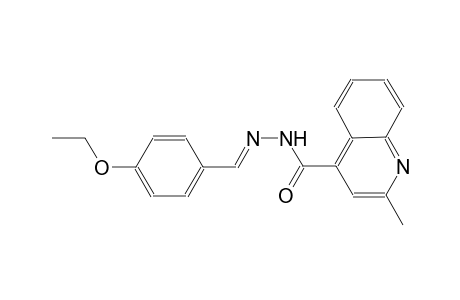 N'-[(E)-(4-ethoxyphenyl)methylidene]-2-methyl-4-quinolinecarbohydrazide