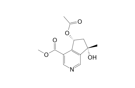6-O-acetyl-plectrodorine