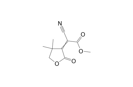4,4-Dimethyl-2-oxo-tetrahydrofuran-3-methylen-cyanocarbonicacidmethylester