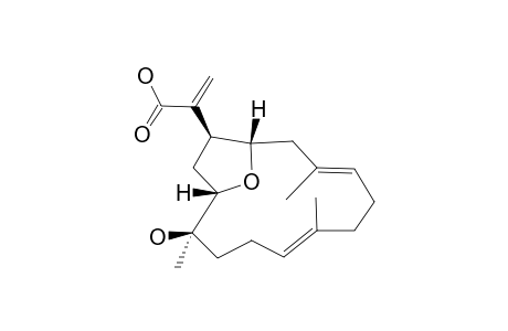 Eunioloic acid