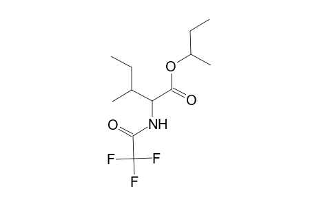 Isoleucine, N-(trifluoroacetyl)-, sec-butyl ester, L-