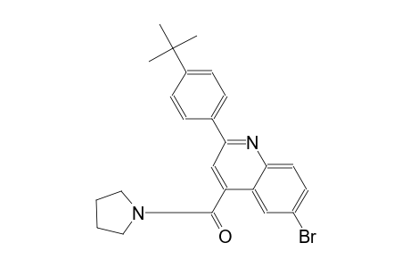 6-bromo-2-(4-tert-butylphenyl)-4-(1-pyrrolidinylcarbonyl)quinoline