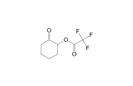 2-(Trifluoroacetoxy)cyclohexanone