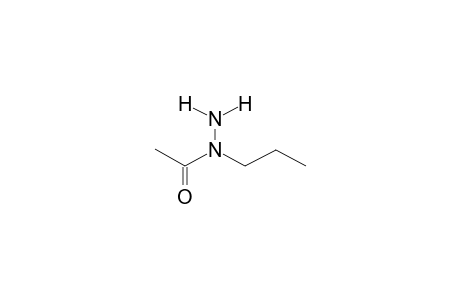 (E)-1-ACETYL-1-PROPYLHYDRAZINE