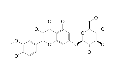 ISORHAMNETIN-7-O-GLUCOPYRANOSIDE