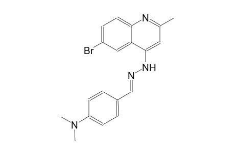 4-(dimethylamino)benzaldehyde (6-bromo-2-methyl-4-quinolinyl)hydrazone