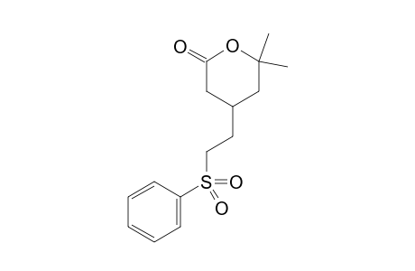 6,6-Dimethyl-4-(2-(phenylsulfonyl)ethyl)tetrahydro-2H-pyran-2-one