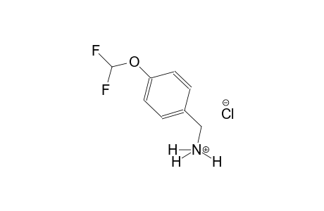 benzenemethanaminium, 4-(difluoromethoxy)-, chloride