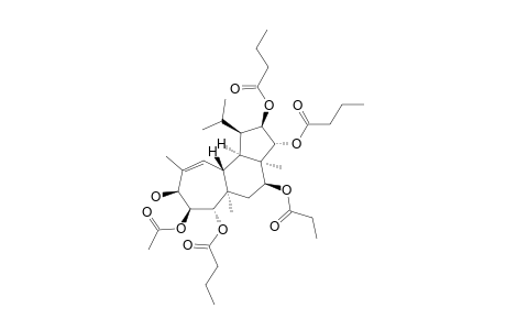 GAGUNIN_H;5-ACETOXY-6,11,12-TRIBUTYROXY-4-HYDROXY-9-PROPYROXYHOMOVERRUCOSA-2-ENE