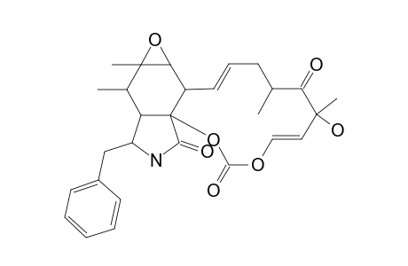 CYTOCHALASIN-E