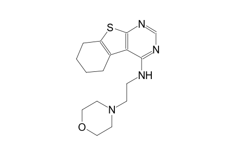 N-[2-(4-morpholinyl)ethyl]-5,6,7,8-tetrahydro[1]benzothieno[2,3-d]pyrimidin-4-amine