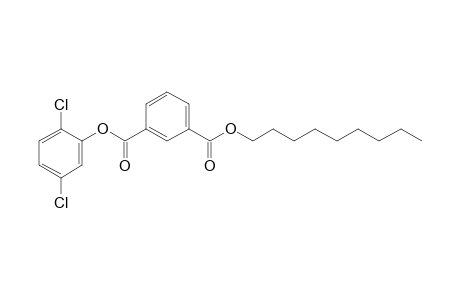 Isophthalic acid, 2,5-dichlorophenyl nonyl ester