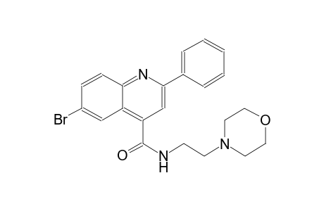 6-bromo-N-[2-(4-morpholinyl)ethyl]-2-phenyl-4-quinolinecarboxamide