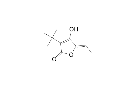2(5H)-Furanone, 3-(1,1-dimethylethyl)-5-ethylidene-4-hydroxy-, (Z)-