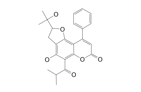 OCHROCARPIN-E;2,3-DIHYDRO-4-HYDROXY-2-(1-HYDROXY-1-METHYLETHYL)-5-(2-METHYL-1-OXOPROPYL)-9-PHENYL-7H-FURO-[2',3':3,4]-BENZO-[1,2-B]-PYRAN-2-ONE