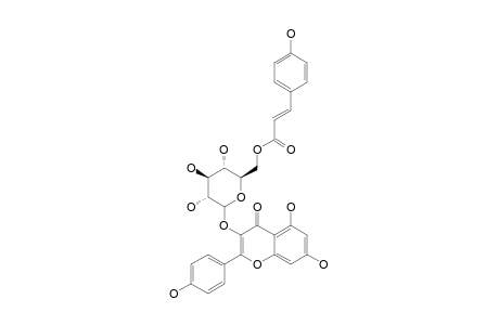 KAEMPFEROL-3-O-(6''-O-COUMAROYL-GLUCOSIDE)
