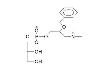 3-RAC-GLYCEROPHOSPHORYL-2'-BENZYLOXYHOMOCHOLINE