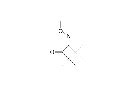 4-METHOXYIMINO-(Z)-2,2,3,3-TETRAMETHYLCYCLOBUTANONE
