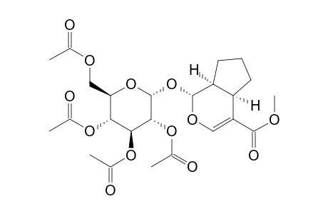 Cyclopenta[c]pyran-4-carboxylic acid, 1,4a,5,6,7,7a-hexahydro-1-[(2,3,4,6-tetra-O-acetyl-.alpha.-D-glucopyranosyl)oxy]-, methyl ester, [1S-(1.alpha.,4a.alpha.,7a.alpha.)]-