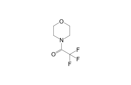 N-Trifluoroacetylmorpholine