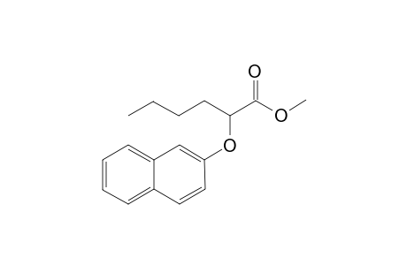 2-(2-Naphthyloxy)hexanoic Acid Methyl Esters