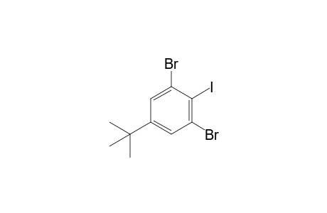 1,3-Dibromo-5-(t-butyl)-2-iodobenzene