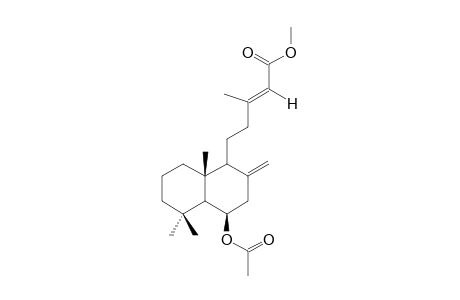 METHYL-(E)-6-BETA-ACETYLOXYLABDA-8(17),13-DIEN-15-OATE