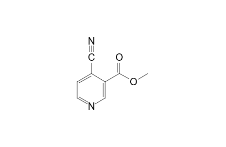 4-cyanonicotinic acid, methyl ester